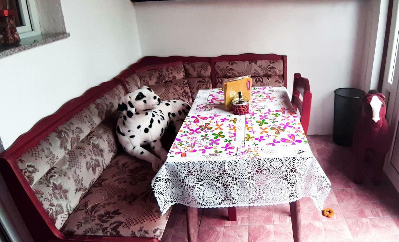 Apartman Nino Tounj Exterior photo